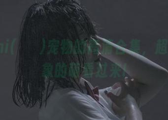 Mimmi(밈미)宠物的高清合集，超乎你想象的萌看过来!