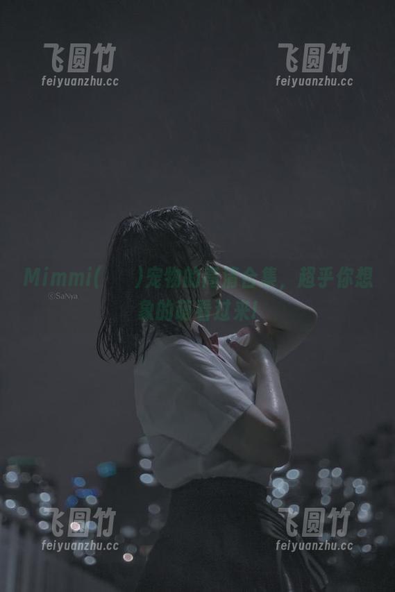Mimmi(밈미)宠物的高清合集，超乎你想象的萌看过来!