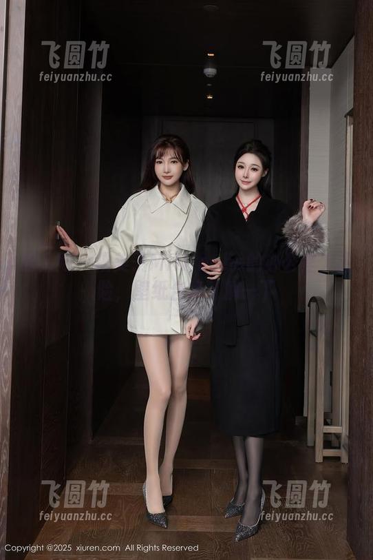 秀人网 - 糯美子MINIbabe的办公室大冒险，壁纸合集了解一下