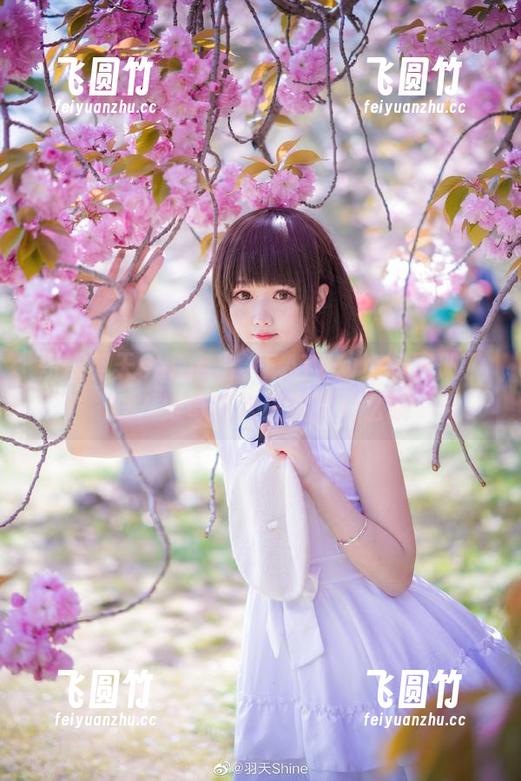 羽天shine 知道羽天shine出“FATE幼贞”图册了吗?好奇这次又藏了什么哦